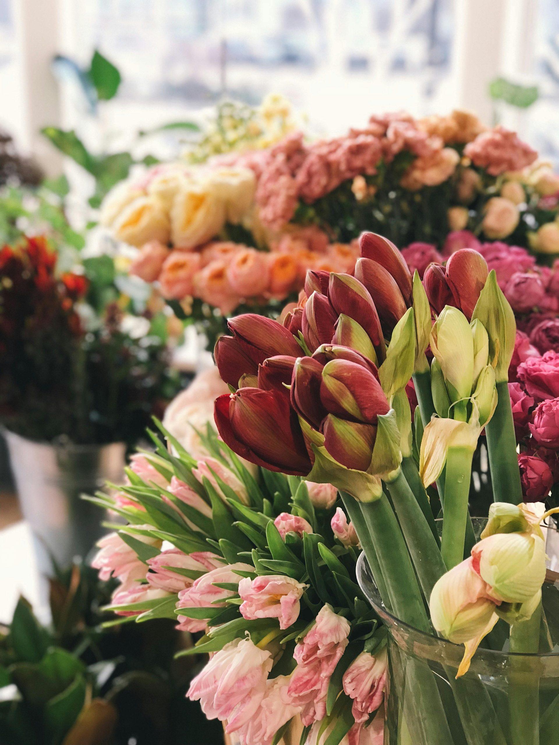 Annuaire Fleuriste : Quel annuaire professionnel choisir ?